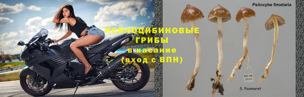 крисы Абдулино