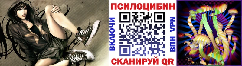 OMG как войти  Иннополис  Псилоцибиновые грибы MAGIC MUSHROOMS 